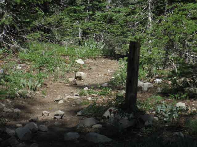Bee Gulch trail to Lake Alpine down Southeast side of Mount Reba